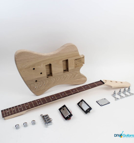 Gibson Thunderbird DIY Electric Bass Kit main components